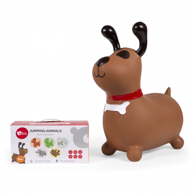 Dog bo shop